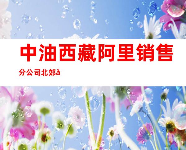 中油西藏阿里销售分公司北郊加油站
