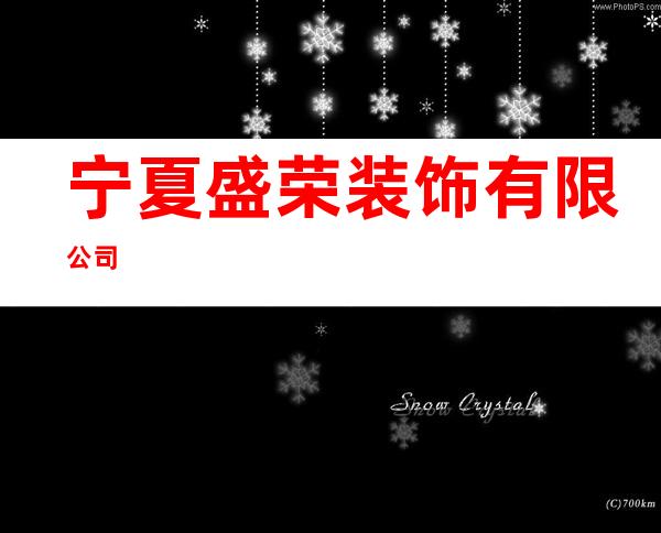 宁夏盛荣装饰有限公司