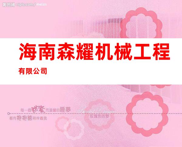 海南森耀机械工程有限公司